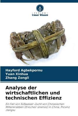 Analyse der wirtschaftlichen und technischen Effizienz