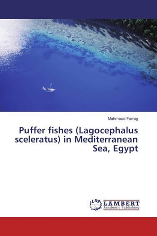 Puffer fishes (Lagocephalus sceleratus) in Mediterranean Sea, Egypt