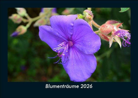 Blumenträume 2026 Fotokalender DIN A5