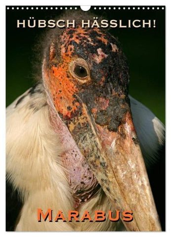 Hübsch hässlich! Marabus (Wandkalender 2026 DIN A3 hoch), CALVENDO Monatskalender