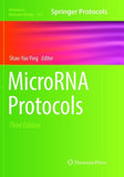 MicroRNA Protocols