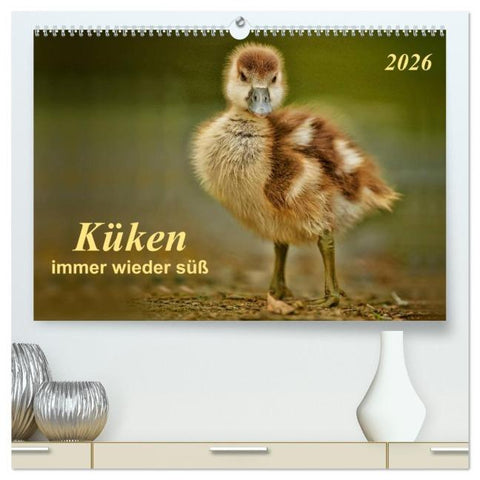Küken - immer wieder süß (hochwertiger Premium Wandkalender 2026 DIN A2 quer), Kunstdruck in Hochglanz