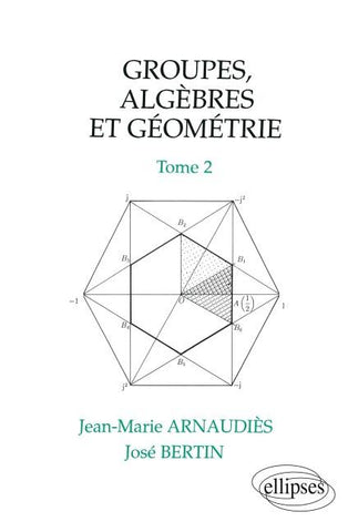 Groupes, algèbres et géométrie - Tome 2