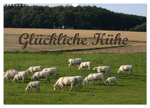 Glückliche Kühe (Wandkalender 2026 DIN A3 quer), CALVENDO Monatskalender