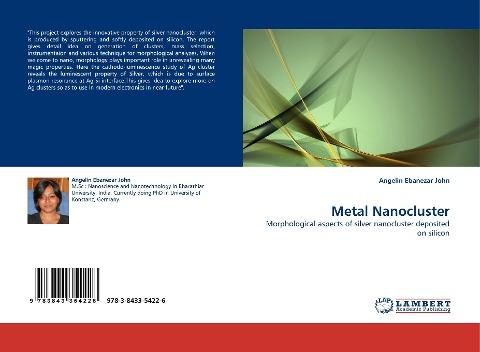 Metal Nanocluster