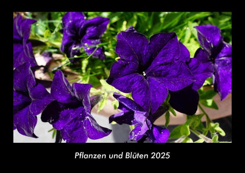 Pflanzen und Blüten 2025 Fotokalender DIN A3