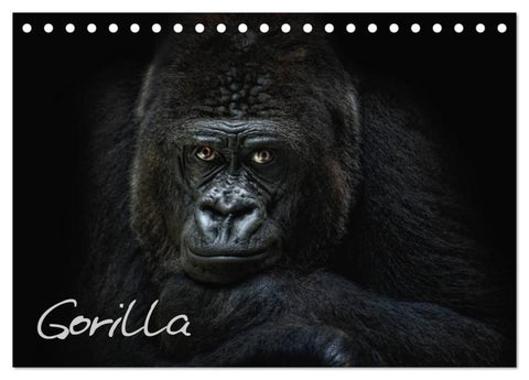 Gorilla (Tischkalender 2026 DIN A5 quer), CALVENDO Monatskalender