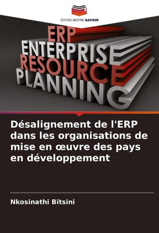 Désalignement de l'ERP dans les organisations de mise en ¿uvre des pays en développement