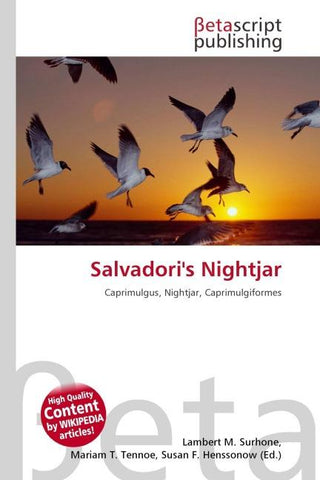 Salvadori's Nightjar