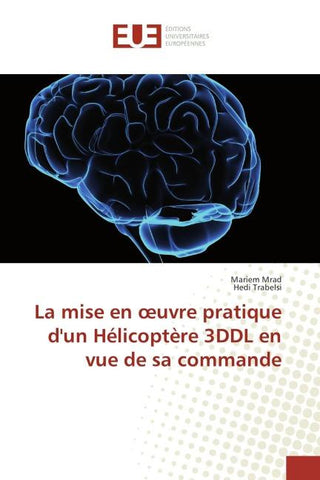 La mise en ¿uvre pratique d'un Hélicoptère 3DDL en vue de sa commande