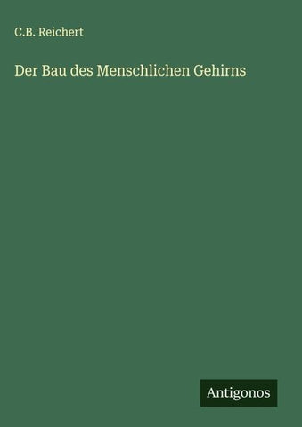 Der Bau des Menschlichen Gehirns