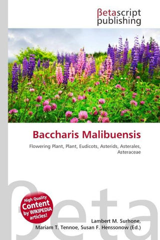 Baccharis Malibuensis