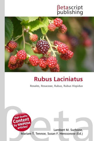 Rubus Laciniatus