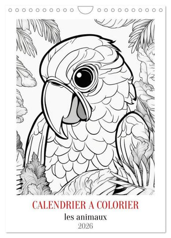 Calendrier à colorier (Calendrier mural 2026 DIN A4 horizontal), CALVENDO calendrier mensuel