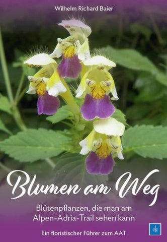 Blumen am Weg