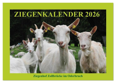 Ziegenkalender 2026 (Tischkalender 2026 DIN A5 quer), CALVENDO Monatskalender