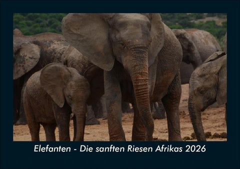 Elefanten - Die sanften Riesen Afrikas 2026 Fotokalender DIN A5