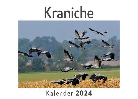 Kraniche (Wandkalender 2024, Kalender DIN A4 quer, Monatskalender im Querformat mit Kalendarium, Das perfekte Geschenk)