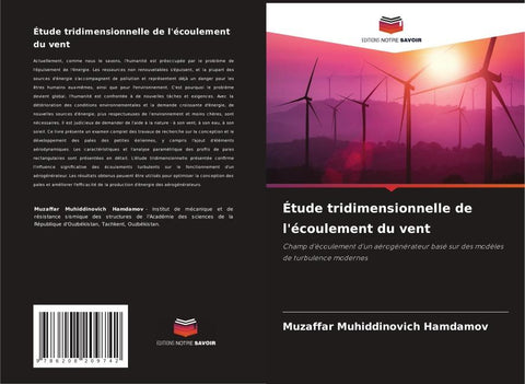 Étude tridimensionnelle de l'écoulement du vent