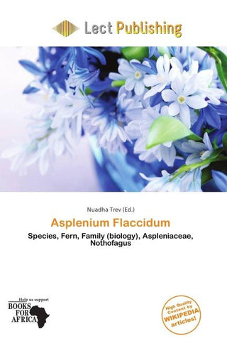 Asplenium Flaccidum