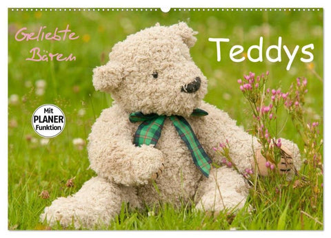 Geliebte Bären - Teddys (Wandkalender 2026 DIN A2 quer), CALVENDO Monatskalender