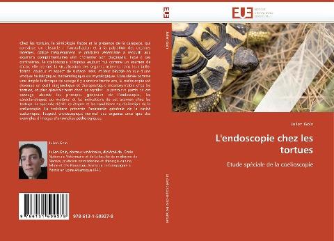 L''endoscopie chez les tortues