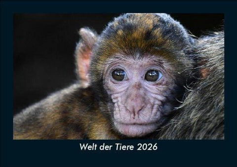 Welt der Tiere 2026 Fotokalender DIN A5