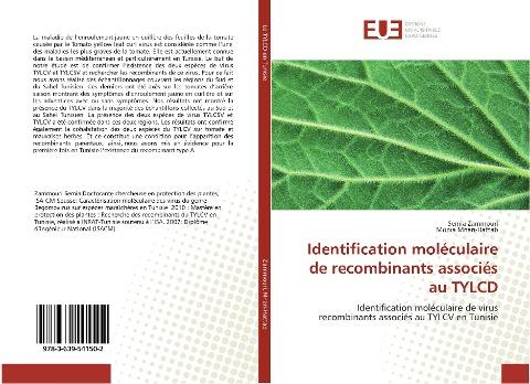 Identification moléculaire de recombinants associés au TYLCD