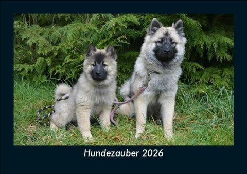Hundezauber 2026 Fotokalender DIN A5