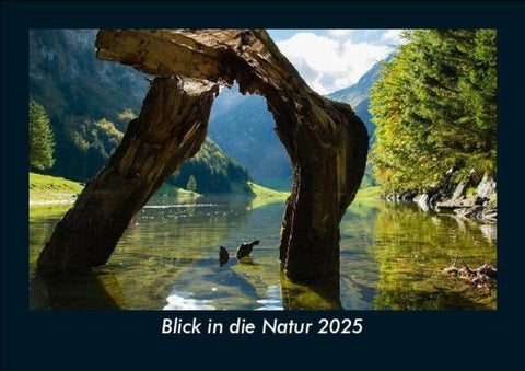 Blick in die Natur 2025 Fotokalender DIN A5