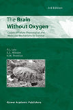 The Brain Without Oxygen