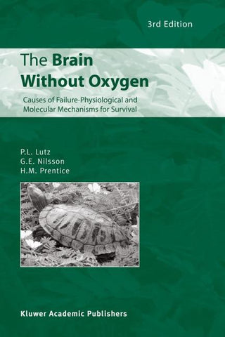 The Brain Without Oxygen