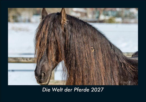 Die Welt der Pferde 2027 Fotokalender DIN A5