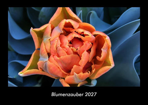 Blumenzauber 2027 Fotokalender DIN A3