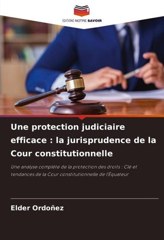 Une protection judiciaire efficace : la jurisprudence de la Cour constitutionnelle
