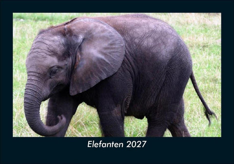 Elefanten 2027 Fotokalender DIN A5