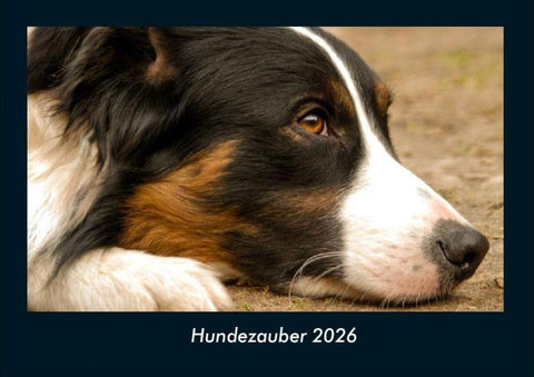 Hundezauber 2026 Fotokalender DIN A4