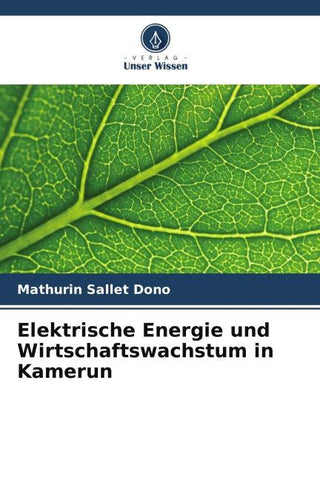 Elektrische Energie und Wirtschaftswachstum in Kamerun