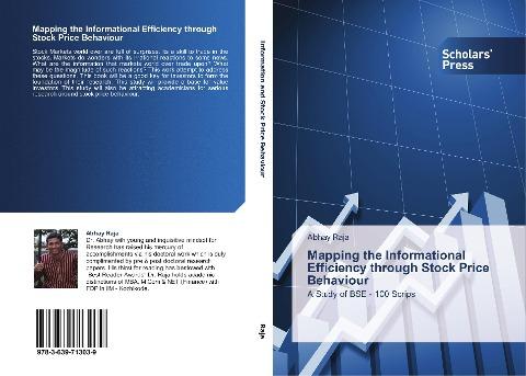 Mapping the Informational Efficiency through Stock Price Behaviour