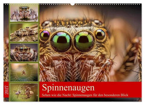 Spinnenaugen (Wandkalender 2027 DIN A2 quer), CALVENDO Monatskalender