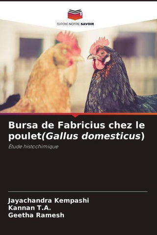 Bursa de Fabricius chez le poulet(Gallus domesticus)