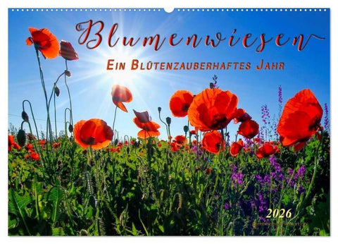 Blumenwiesen – ein blütenzauberhaftes Jahr (Wandkalender 2026 DIN A2 quer), CALVENDO Monatskalender