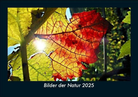 Bilder der Natur 2025 Fotokalender DIN A5