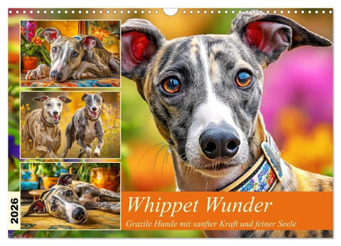 Whippet Wunder. Grazile Hunde mit sanfter Kraft und feiner Seele (Wandkalender 2026 DIN A3 quer), CALVENDO Monatskalender