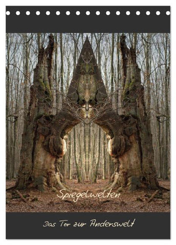 Spiegelwelten - Das Tor zur Anderswelt (Tischkalender 2026 DIN A5 hoch), CALVENDO Monatskalender