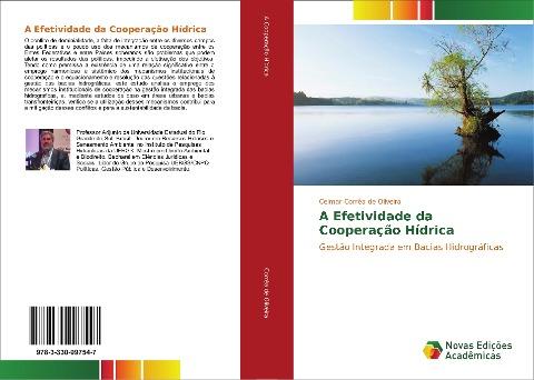 A Efetividade da Cooperação Hídrica