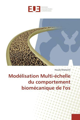 Modélisation Multi-échelle du comportement biomécanique de l'os