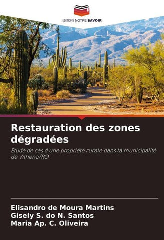 Restauration des zones dégradées