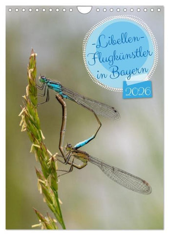 Libellen - Flugkünstler in Bayern (Wandkalender 2026 DIN A4 hoch), CALVENDO Monatskalender