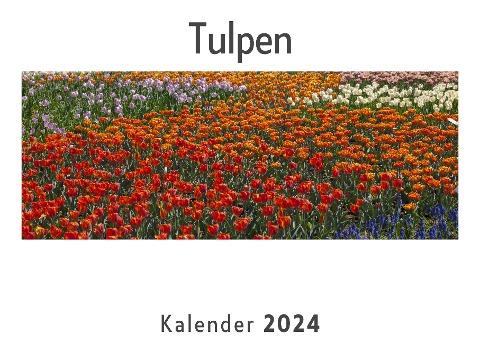 Tulpen (Wandkalender 2024, Kalender DIN A4 quer, Monatskalender im Querformat mit Kalendarium, Das perfekte Geschenk)